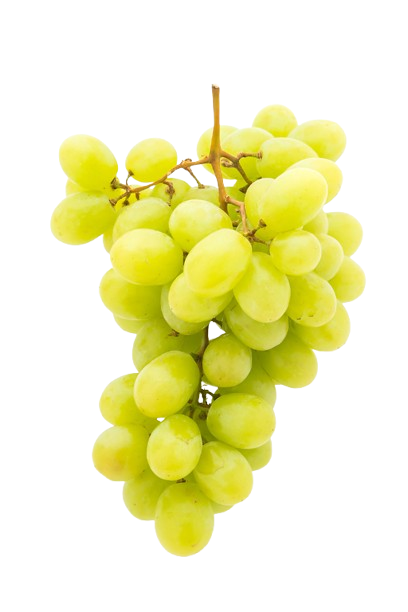 Uva verde